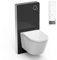 WC-Sparpaket 9: BERNSTEIN DUSCH-WC PRO+ 1102 Komplettanlage & Sanitärmodul 805 in Schwarz