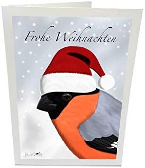 Gimpel Weihnachtskarte mit Umschlag Vogel mit Weihnachtsmütze Weihnachtsgrüße Frohe Weihnachten