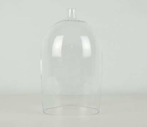 EMH Terrarium, Glas, 24 x 13,3 cm, mit Loch