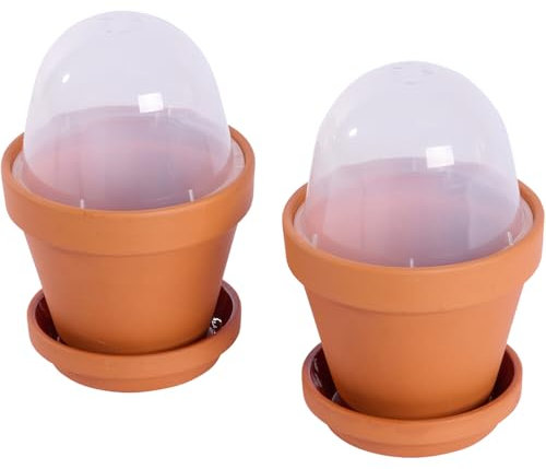 Siena Garden Lot de 2 Pots de Culture en Argile Ø 11 cm avec Soucoupe