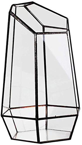 AOM Vase en Verre Hexagonal à Effet de Serre de Maison pour Mini Jardin Miniature Paysage, Blanc