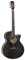Chitarra acustica Tanglewood Winterleaf Solid TW4 E Bs
