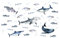 VARKAGE 2 Stück 30X90CM Wandtattoo Unter dem Meer Hai Groß Wandaufkleber Ozean Fisch Wal Seetang Wandsticker Kinderzimmer Schlafzimmer Badezimmer Wanddeko
