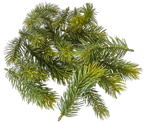 naninoa Künstliches Tannenstreu für Winterdekoration. 24 Teile. 8cm, 10cm, 13cm. Weihnachtsdekoration Winterdeko Tannenzweige Kunstpflanze Tannenspitzen