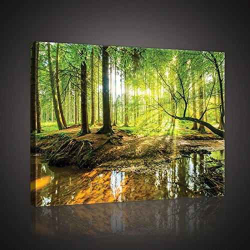 Forwall - Leinwand Bilder - Wald Natur Landschaft Sonne - 60x40 cm Leinwandbilder - Bild auf leinwand - Wandbild XXL groß Wandbilder für Wohnzimmer Schlafzimmer Wohnzimmerbilder Modern
