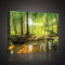 Forwall - Leinwand Bilder - Wald Natur Landschaft Sonne - 60x40 cm Leinwandbilder - Bild auf leinwand - Wandbild XXL groß Wandbilder für Wohnzimmer Schlafzimmer Wohnzimmerbilder Modern
