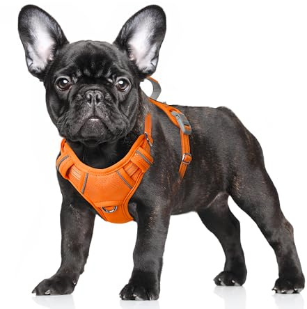 BARKBAY Hundegeschirr, kein Ziehen, groß, reflektierend, mit Frontclip und einfachem Griff für Spaziergänge, Training, Laufen, mit ID-Tag-Tasche (Orange, S)