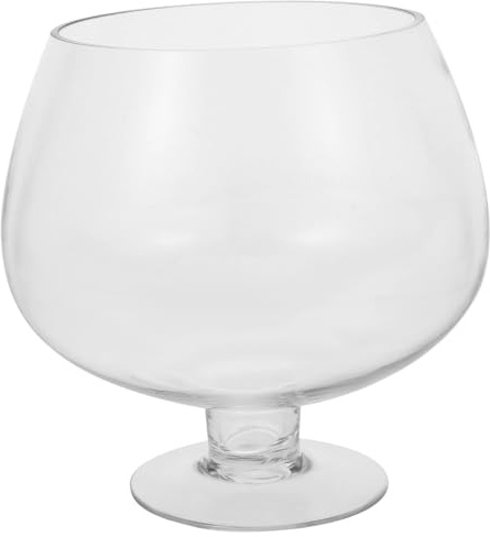 BESPORTBLE Bol à bulles transparent, vase en verre avec support, pot de fleurs transparent pour terrarium, vase hydroponique, centre de table, bol sur pied