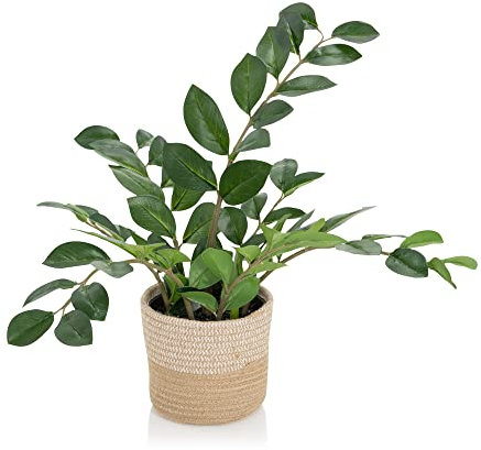 hjh OFFICE Kunstpflanze ZAMIE Höhe 50 cm Grün Deko Zamioculcas Zimmerpflanze Glücksfeder künstlich, 871008
