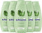 Schauma Schwarzkopf Shampoo 7 Kräuter (5x 400 ml), Haarshampoo verleiht der Haarstruktur eine leichte Frische, Frische-Shampoo für normales bis schnell fettendes Haar