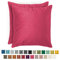 Blumtal 2er Set Kissenbezug 40x40 cm Pink - dekorativer Samt Kissenbezug mit verstecktem Reißverschluss, Kissenhülle für Zierkissen Deko-Kissen Polster Sofakissen & Couchkissen, waschbar