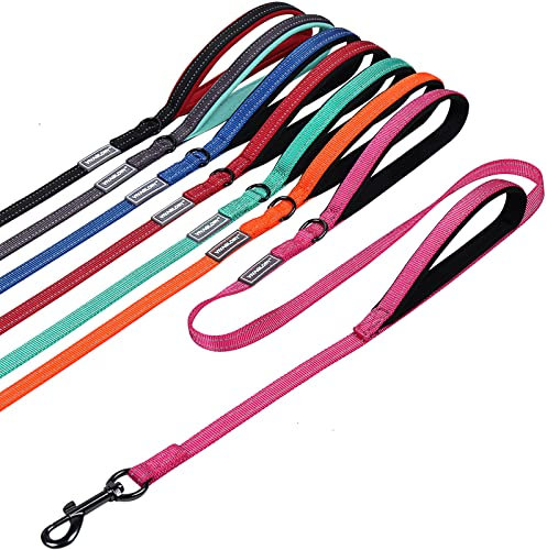 VIVAGLORY Twingrip Dog Lead, Double Handle Dog Lead for Training & Walking with Traffic Handle & 2 Loop, Traffic Control Reflective Heavy Duty for Puppy Pet, 1.8m x 1.4cm, Pink