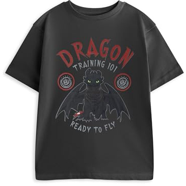 How To Train Your Dragon Boys Black Short Sleeved Graphic Tee | Dragon Training 101 Ready to Fly | Classic Crew Neck Top for Casual Wear Merch