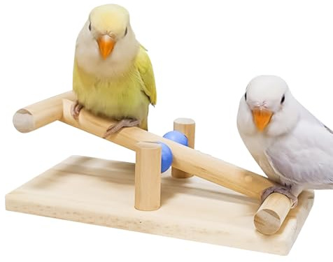 Vogelspielzeug für Papageien Interaktives Stabiles Bewegungstraining