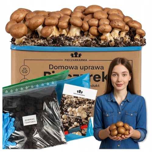 Champignon Zuchtset 5 kg – Frische Pilzkultur brauner Champignons für Zuhause – Komplettset mit Myzel, Torf-Abdeckung, Anleitung & Kartonbox – Einfacher Pilzanbau zum Selberzüchten + Gratis