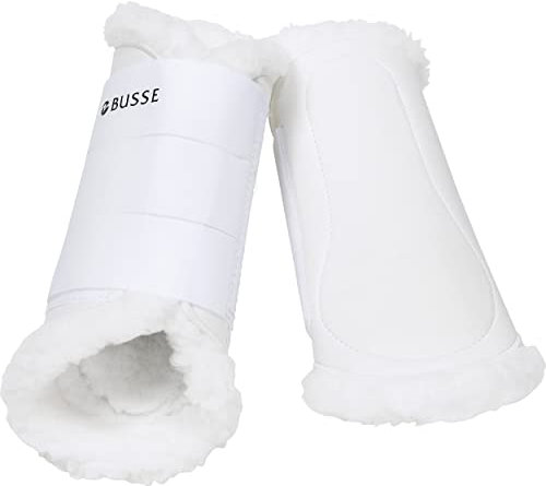 Busse
