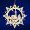 SIKORA BS-LS Traditionelle Filigrane Christbaumschmuck Holzanhänger aus nachhaltiger Herstellung - 28 Modelle wählbar, Modell:M3 Mehrzackstern Dorfkirche D 8.8cm
