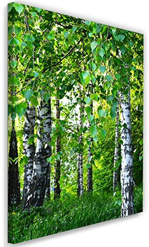 Feeby Vlies Leinwandbild Birke Gras Blätter 60x90 cm Druckbild Wandbild Wanddekoration Deko Wand Aesthetic Natur Pflanzen Bäume Wald Grün
