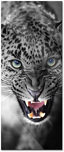 Pixxprint Glasbild Panorama, Wandbild aus Echtglas, schöner fauchender Leopard, 100x40 cm, inkl. Aufhängung und Abstandshalter