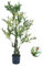 TUTUDECOR Künstliche Olivenbaumpflanzen, 91 cm hoch, künstlicher üppiger Olivenbaum, vorgetopfte Pflanze mit künstlichen Olivenfrüchten, langlebiger, stabiler Kunstbaum für drinnen und draußen,