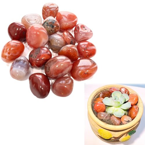 Syiyunran Pierres Tambour Cailloux Précieuses Décoratives Pierre Precieuse - Rouge, 100g, Gravier Décoratif Agate Cristal Semi, pour Aquarium Planteur Chasse au Trésor Fabrication Bijoux Décoratifs
