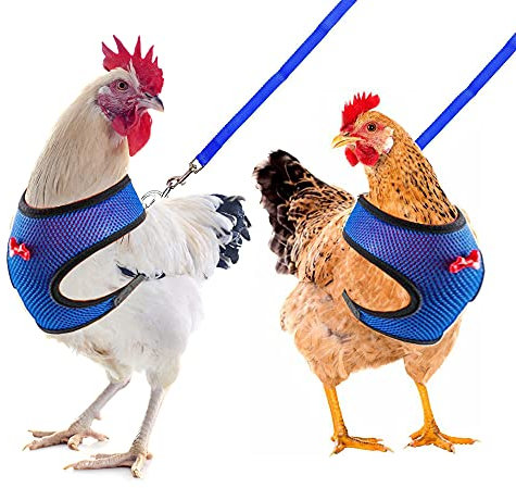 Tiimmgaal Hühner-Geschirr und Leine, modifiziertes verstellbares atmungsaktives Geschirr, speziell entwickelt für Hahn und Hennen, Training und Walking, Huhn wird sehr glücklich sein (2 Stück) (blau)