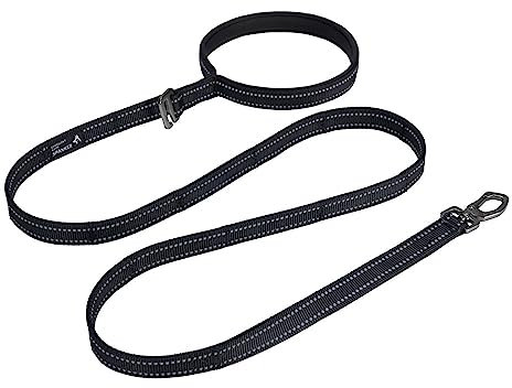 EXCELLENT ELITE SPANKER Reflektierende Nylon Hundeleine Gepolsterter Griff 5 FT Hundeleinen mit Schnellverschluss für kleine & mittlere Hunde(Schwarz)