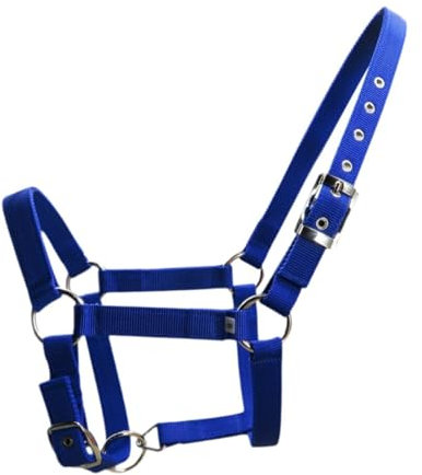 Fenteer Verstellbares Pferde -Halfter -Pferd Reithörer Horsemanship Practice Tragbares leichte Reitmittel für Rennstöcke, Blau