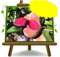 EURO PLANTS VIVAI Pesco Pianta da Frutto Antico di Pesche a Polpa Rossa Sanguinella - Resistente alla Bolla - su Vaso da 24/26 cm - Altezza170-200 cm - Età 4 Anni
