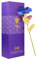 WeFoonLo Creative Künstliche 24K Gold Rose Blume Kunststoff Lange Stiel echte Rose in Gold mit Geschenkbox für Muttertag, Valentinstag, Geburtstag, Thanksgiving Day eingetaucht (Blau + Gold)