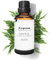 Cypress Essential Oil 100 Ml