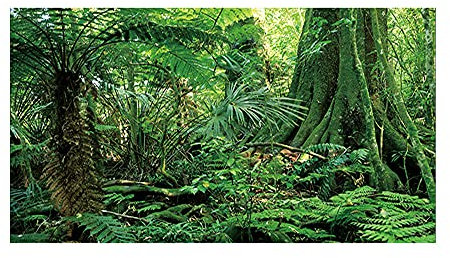 WDFChenWB Aquarium Background Sticker Rainforest Pattern Sticker PVC Self Adhesive Sticker for Reptile Box Fish Tank Wall Picture Decoration