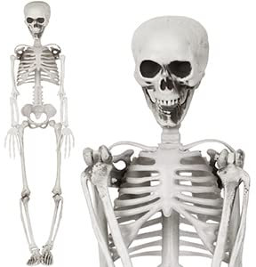 TRIXES Halloween Ganzkörper-Skelett-Dekoration - 90cm in der Größe - Gruselige Partydekorationen - Totenkopf & Knochen aus Kunststoff