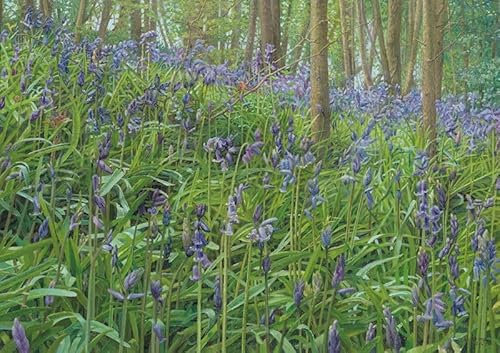 DOeraa Leinwandbilder Bild Poster Kunstdrucke Ölgemälde Wilde Hyazinthen Witz Frima für Wanddekoration 60x90cm