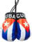 Joayuezo 1 Paar Mini Boxhandschuhe für den Autospiegel Mini Deko-Anhänger für den Innenspiegel im Auto Mini Boxing Gloves ideal für Autospiegel, Sporttasche, Schlüsselanhänger (Cuba)