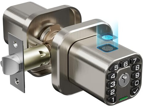 Richelock Pomo de puerta de huellas dactilares, cerradura biométrica inteligente con teclado, perilla de puerta de código de entrada sin llave, impermeable y resistente a la intemperie, bloqueo