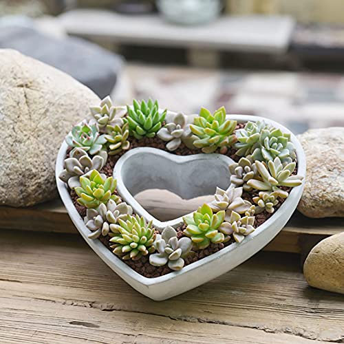 WLICWEI Jardinière succulente en Forme de Coeur avec Trou de Drainage, Pots de Plantes d'extérieur en Ciment, Grands Pots de Fleurs décoratifs Pot de bonsaï Pot de Cactus pour la décoration de la ma
