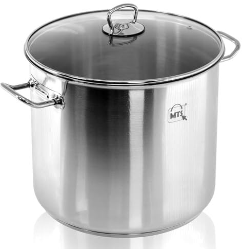 GEEZY Stainless Steel Stockpot with Lid 9L Cooking Pot with Lid Large Deep Casserole Pot Kitchen Cookware Double Handle Soup Pot