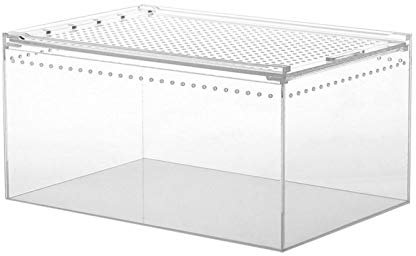 Skrskr Reptile Breeding Box Acrylic Transparente Aufbewahrungbox Für Lebendfutter Insekten Reptile Fütterungsbox Für Spinnen Grillen Schnecken Einsiedlerkrebse Vogel Spinnen Geckos