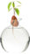 Ligeinsrk VASO AVOCADO, VASSO DI AVOCADO AVOCATO CHIRICO, HITROTER ROULDO ROUSIBILE, CRESCITA UNIVERSALE UNIVERSALE PER PIANTE OUTDOOR IN IN INDUT