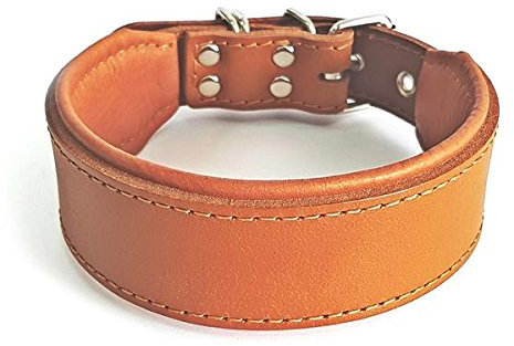 Bestia™ Classic Echtleder Hundehalsband. 100% Leder. Weich gepolstert. TOP Qualität!