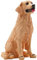 Craft&Style Skulptur Statue Figur Bester Freund Hund Golden Retriever Sitz Dekoration Deko H: 20cm