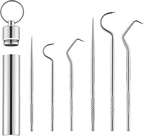 6-teiliges Set Edelstahl-Metall-Zahnstocher, langlebig, tragbar, wiederverwendbar, Metall-Zahnstocher für Outdoor, Picknick, Camping, mit Zahnstocherbehälter