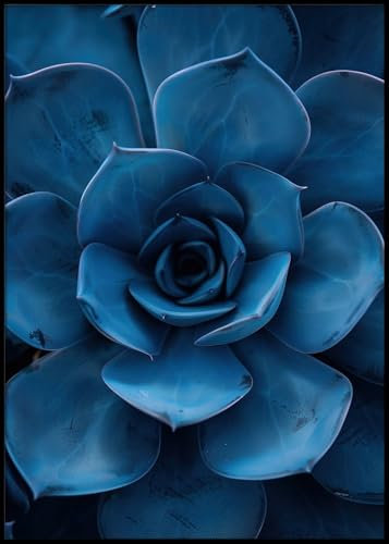 Dekomundo Blauer Kaktus Poster, 50x70 cm zum Einrahmen moderne Wanddekoration für Wohnzimmer, Schlafzimmer und Büro