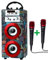 DYNASONIC Karaoke mit Mikrofon, originelle Geschenke für Kinder, Mädchen, Spielzeug (025-21)