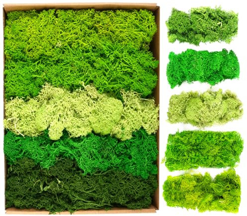 200g Kunstmoos zum Dekorieren, Moos Deko Künstlich, Moos zum Basteln, Islandmoos, Kunstrasen zum Basteln, Kunstpflanze, Fake Pflanzen für Übertöpfe Künstlicher Pflanzen, Aquarium, Krippe Modellbau