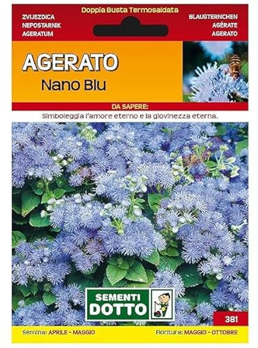 Sicignano | Semi Agerato Nano Blu, Fiori Azzurri, Pianta Compatta Annuale, Busta Extra - 1 Confezione da 0.6g, Utile per Cuscini Composizioni Floreali, Pianta da Vaso, Adatta a Pieno Sole