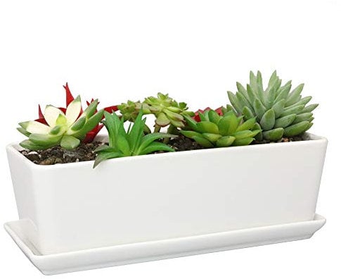 SQOWL 25,4 cm rechteckiger weißer Keramik-Übertopf für Sukkulenten, moderner Blumentopf für Blumen, Kaktus, Kräuter, großer Übertopf mit herausnehmbarem Untersetzer für drinnen und draußen