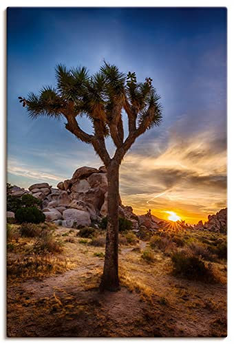 ARTland Wanddeko Leinwand Bilder Wandbild 40x60 cm Landschaft Baum Pflanzen Felsen Sonnenuntergang Joshua Tree Park USA U3NP