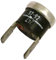 SOS Accessoire Termostato 40 gradi per friggitrice, Airfryer IGNIS 481928248105